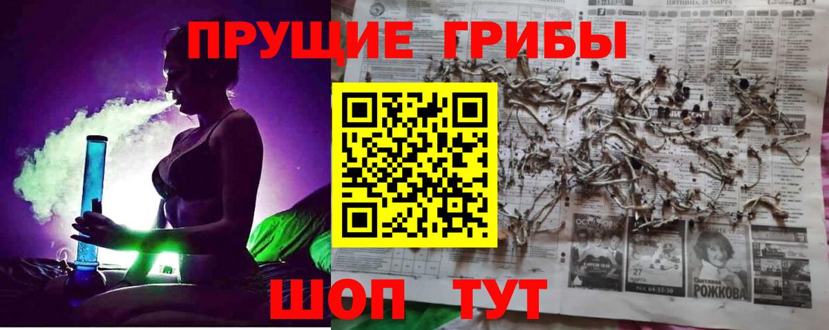Галлюциногенные грибы Psilocybine cubensis  Галлюциногенные грибы MAGIC MUSHROOMS  Вход с VPN  Барабинск 